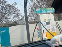 -壳牌华苑加油站