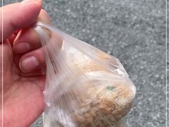 -六广门毛阿姨糯米饭