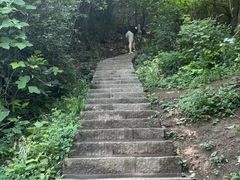 -秦岭终南山世界地质公园翠华山景区