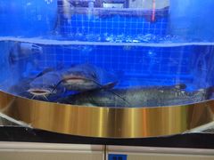 -蛙一刀·麻椒鱼火锅(金仙桥店)