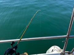 -那香海钻石沙滩浴场