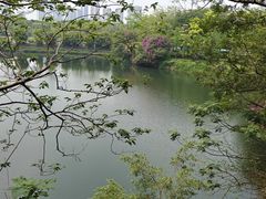 -王借岗森林公园