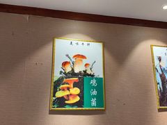 -菌之家·专业纯野生菌火锅·特色炒菌
