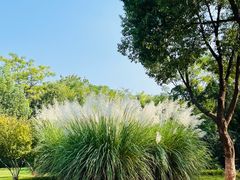 -盘龙城遗址博物院