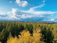 -塞罕坝国家级自然保护区