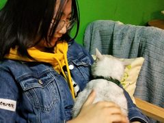-李小姐の猫咖啡馆(五角场店)