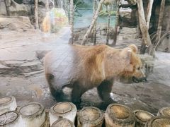 -杭州长乔极地海洋公园
