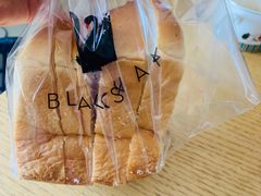 -BLACKSWAN黑天鹅(环球店)