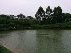 -锦湖农庄(松山湖梦幻百花洲店)