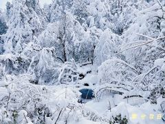 -龙苍沟森林公园
