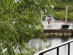 -济州森林小火车生态公园