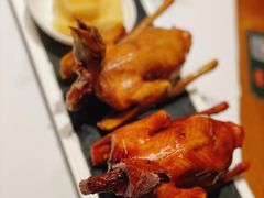 -大鸽饭(岗顶店)