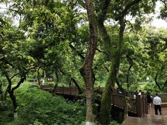 -张坝桂圆林公园
