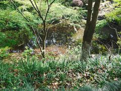 -杭州半山国家森林公园