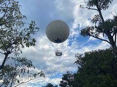 -黄金海岸环岛路