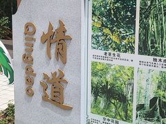 -霸王岭国家森林公园