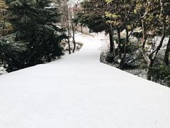 -青岛崂山太清宫