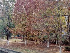 -江南大学(蠡湖校区)