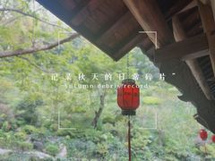 -永泉忆江南12景区