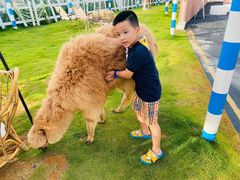 -Blue Concept Cafe&Farm·關於藍