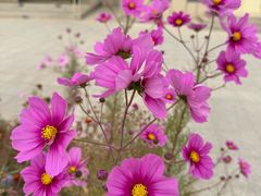 -克孜尔尕哈烽燧世界文化遗产公园