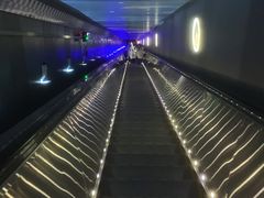 -白鹤梁水下博物馆