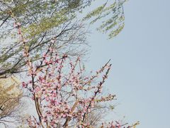 -迎泽公园