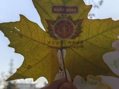 -西安交通大学(雁塔校区)