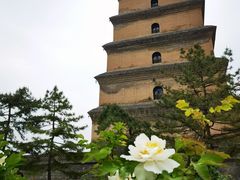 -大慈恩寺(大雁塔)