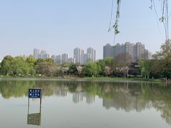 -堤角公园