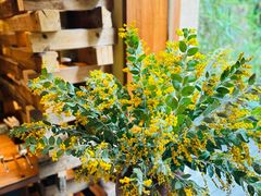 -天水蔬食料理(树德之光店)