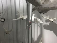 -梵高星空艺术馆(北京旗舰店)