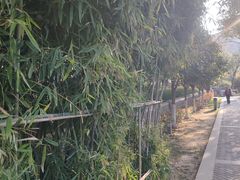 -莲湖公园