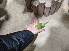 -嘉兴海底世界