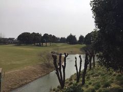 -银涛高尔夫练习场(徐泾店)