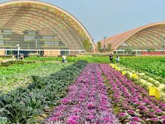 -中国天府农业博览园