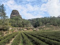 -武夷山风景名胜区-虎啸岩