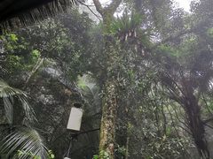 -七仙岭温泉国家森林公园