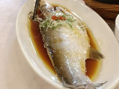 -龙景軒大酒店(共康店)