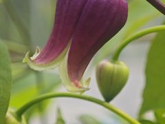 -北京植物园-展览温室