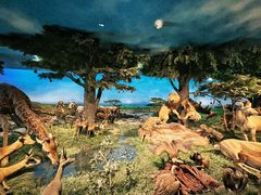 -国家自然博物馆