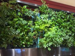 -巴奴毛肚火锅(广益哥伦布店)
