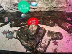 -沈阳海洋探索中心