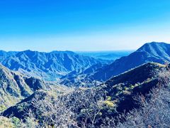 -大岭沟猕猴桃谷风景区