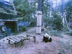 -安吉竹博园
