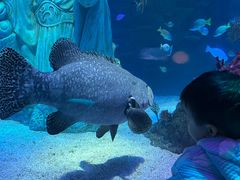 -沈阳海洋探索中心