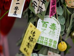 -奔驰利星行(北京花乡店)