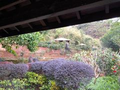 -英德宝晶宫天鹅湖茶语温泉