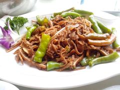 毛肚-陶然饺子城(奥体中路店)