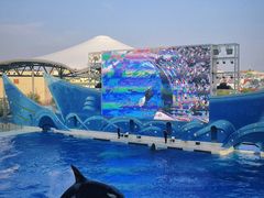 -上海海昌海洋公园
